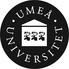 school icon